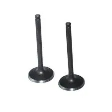 [DC_00134] Valvulas culata - BOXER-PLATINO CT-BM 100 - MOTO PARTS